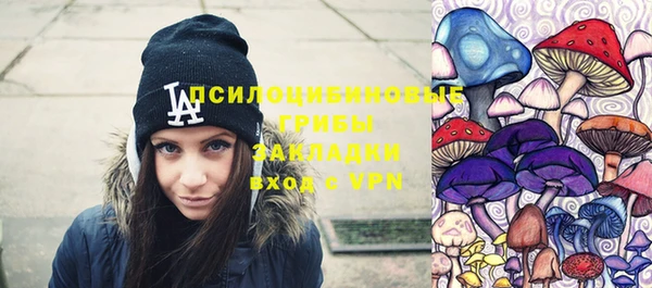 соль ск Дмитровск