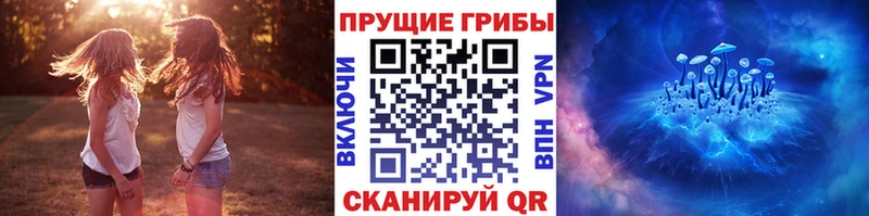 OMG онион  Батайск  Галлюциногенные грибы прущие грибы 